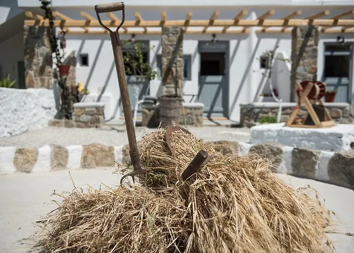 Aloni * 阿诺梅拉