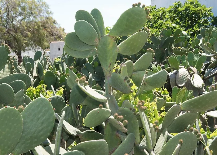 度假居 Aloni 阿诺梅拉